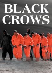 Black Crows